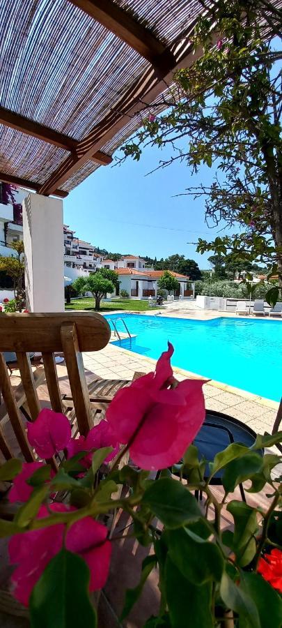 Anemos Junior Suite Bandar Skopelos Luaran gambar