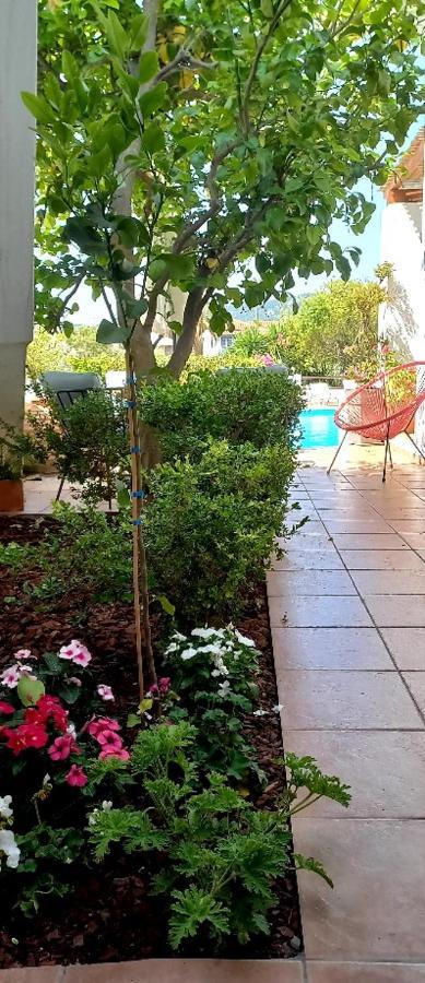 Anemos Junior Suite Bandar Skopelos Luaran gambar